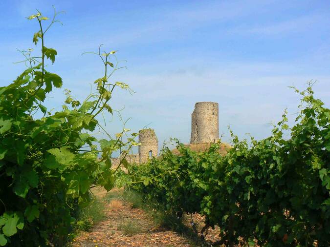 Visuel 2/2 : Coteaux et plaines viticoles de Mercurol