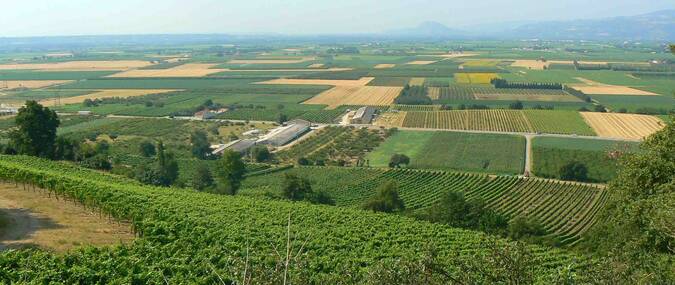 Visuel 1/2 : Coteaux et plaines viticoles de Mercurol