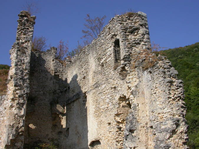 Visuel 3/3 : Château de Rochechinard